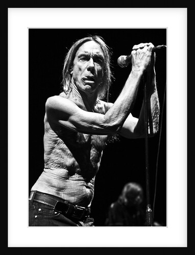 Iggy Pop and The Stooges (1) by Karen Toftera